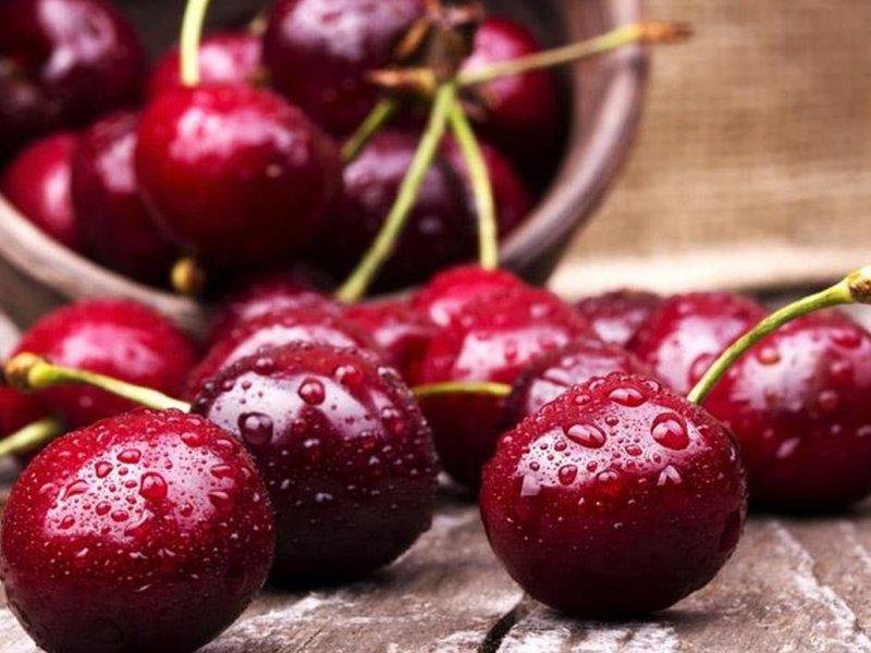 Вишня купить саженцы из питомника в Туймазах